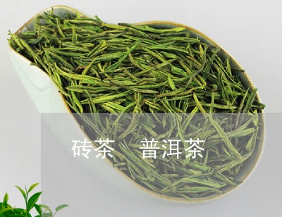 砖茶 普洱茶/2023042838385